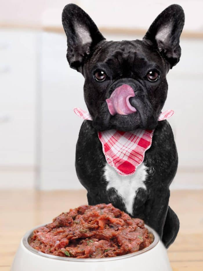 Photograph of a french bulldog licking his lips over a bowl of Drool Pet Co. Raw Dog Food, lamb, chicken and vegetables 500g