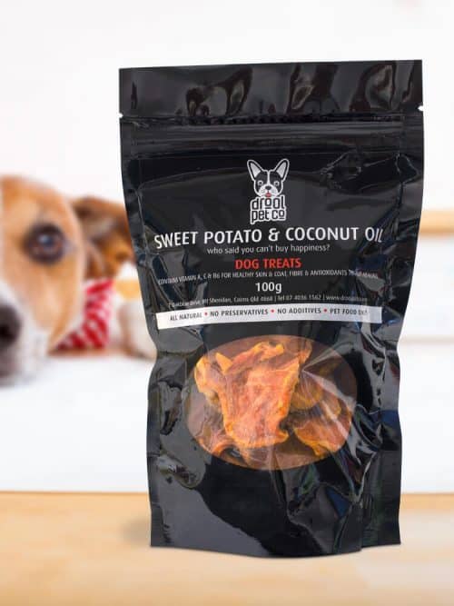 Photograph of a jack russell looking forward at a bag of Drool Pet Co. Dried sweet potatoe and coconut oil dog treats 100g