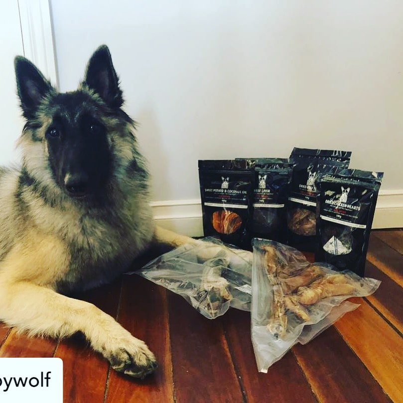 Drool Pet Co client testimonial photo of dog with dog treats