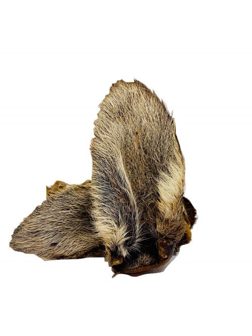 Photograph of two Drool Pet Co. kangaroo ears complete with hair on a white background.