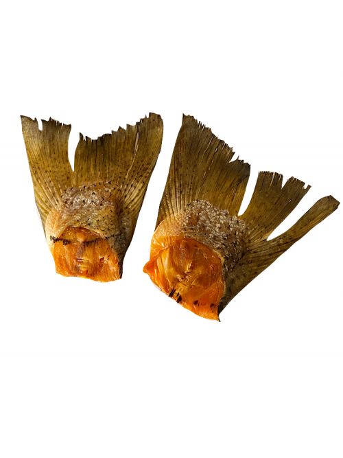 Photograph of two pieces of dehydrated salmon tails on a white background.